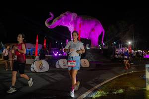 BIB: 
                            <button type="button" onclick="openModal(26552186)" class="btn btn-primary btn-sm float-right btn-popup" data-toggle="modal" data-target=".modal-high-quality">
                        <i class="fas fa-shopping-cart"></i> Add to Cart
                    </button>
                                            <button type="button" onclick="isThisMe(26552186, true)" class="btn btn-success btn-sm float-right btn-popup btn-isme hidden" data-toggle="tooltip" data-placement="bottom" title="นี่คือรูปของคุณใช่ไหม คลิกที่นี่เพื่อเอาเข้าอัลบั้ม">
                        <i class="fas fa-plus"></i> Add to album
                    </button>
                    <button type="button" onclick="isThisMe(26552186, false)" class="btn btn-warning btn-sm float-right btn-popup btn-isnotme hidden">
                        <i class="fas fa-ban"></i> Remove from album
                    </button>